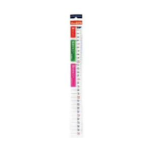 REGLA DE PLASTICO DE 30 CM